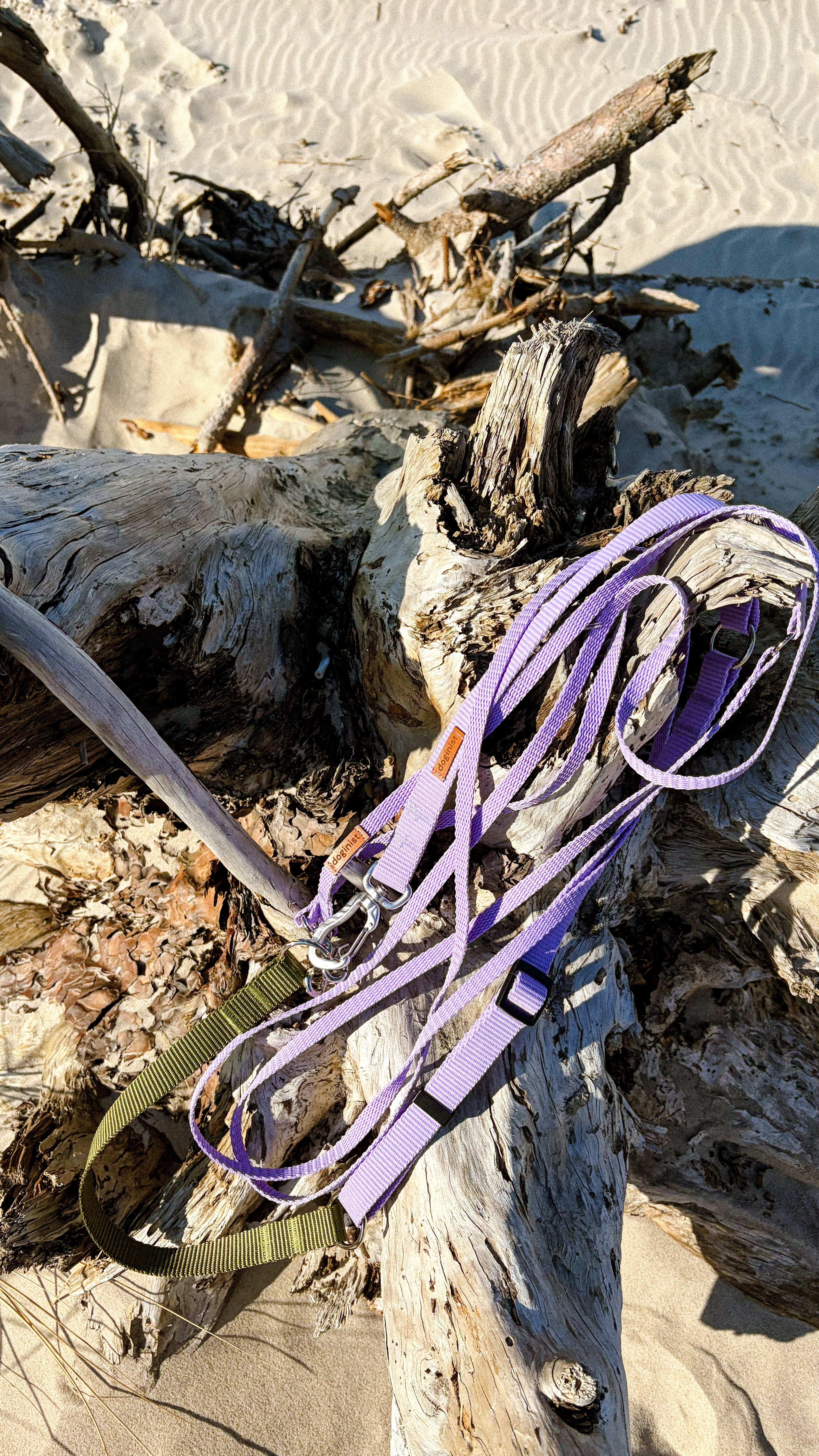 Leashes