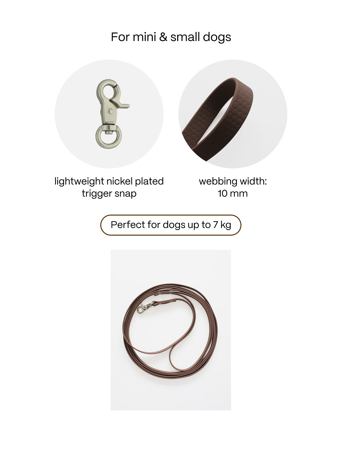 Waterproof Leash