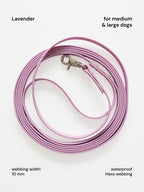 Waterproof Leash – mini & small dogs