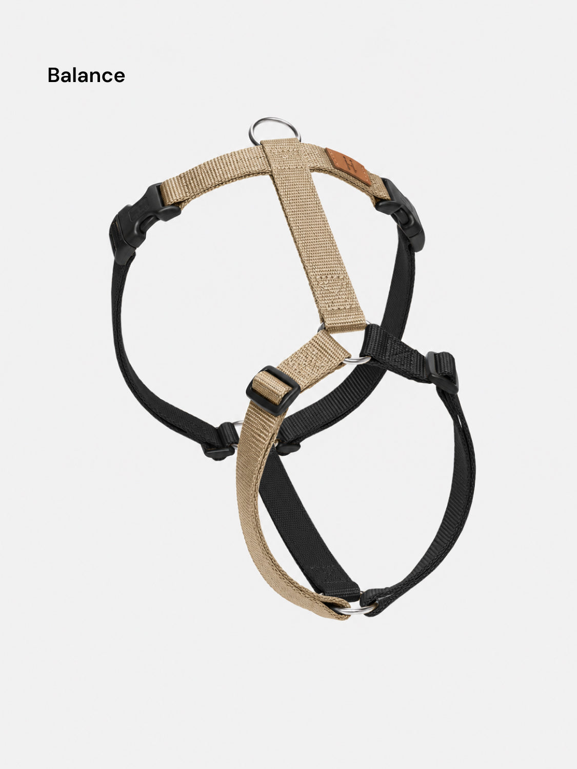 Harness