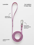Waterproof Leash – medium & large dogs