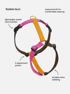 Harness