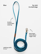 Classic Leash – mini & small dogs