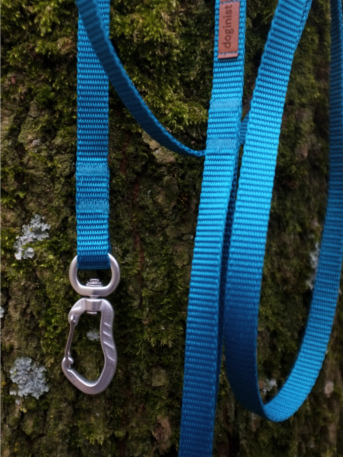 Classic Leash – medium & large dogs
