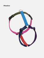 Harness