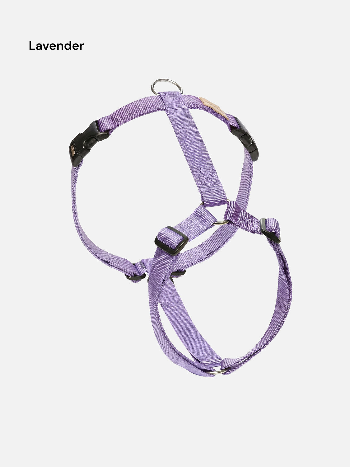 Harness