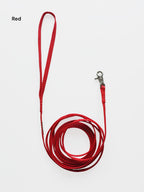 Classic Leash – mini & small dogs