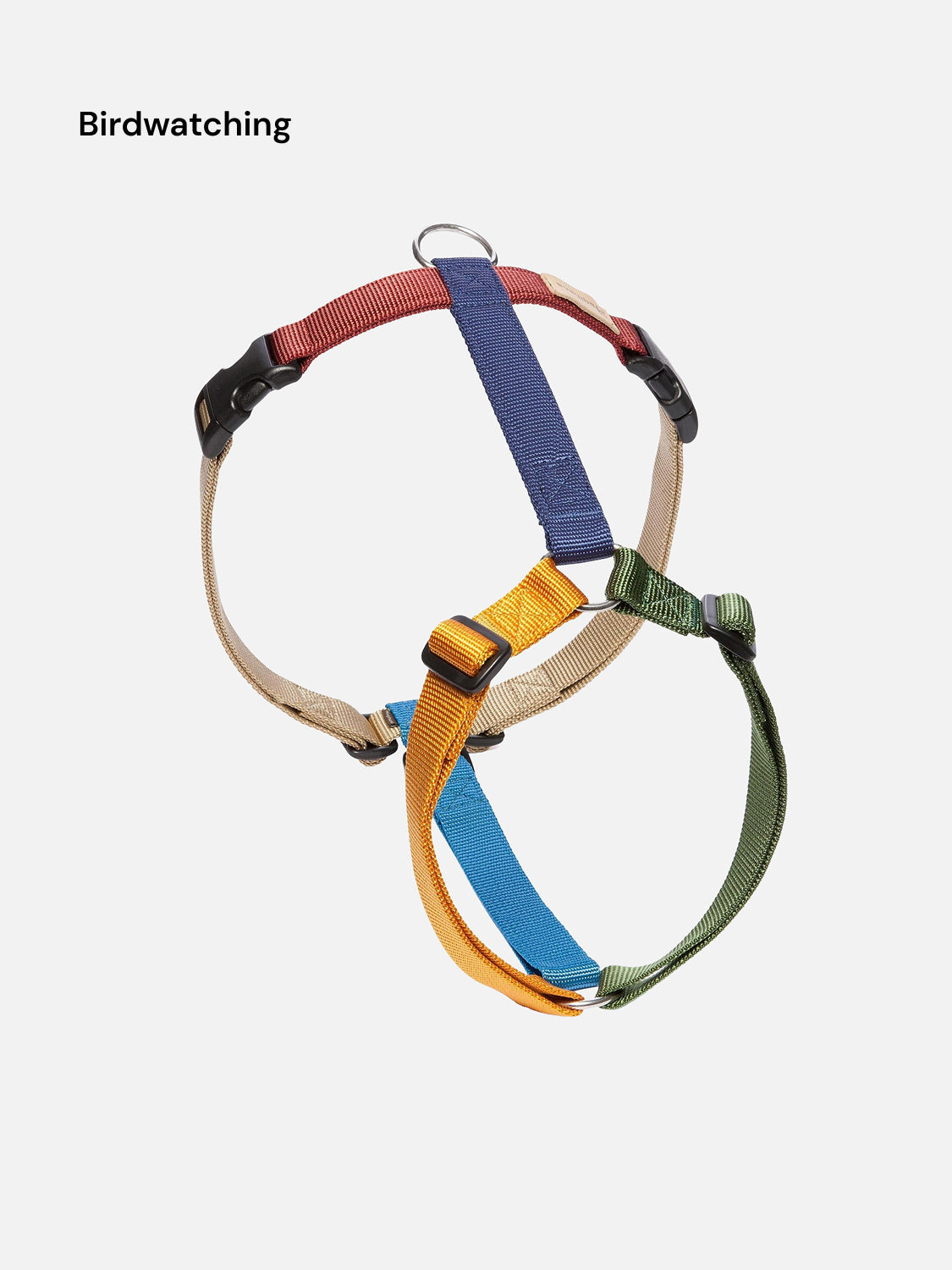 Harness