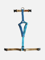 Meltwater Harness