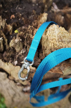 Blue Leash
