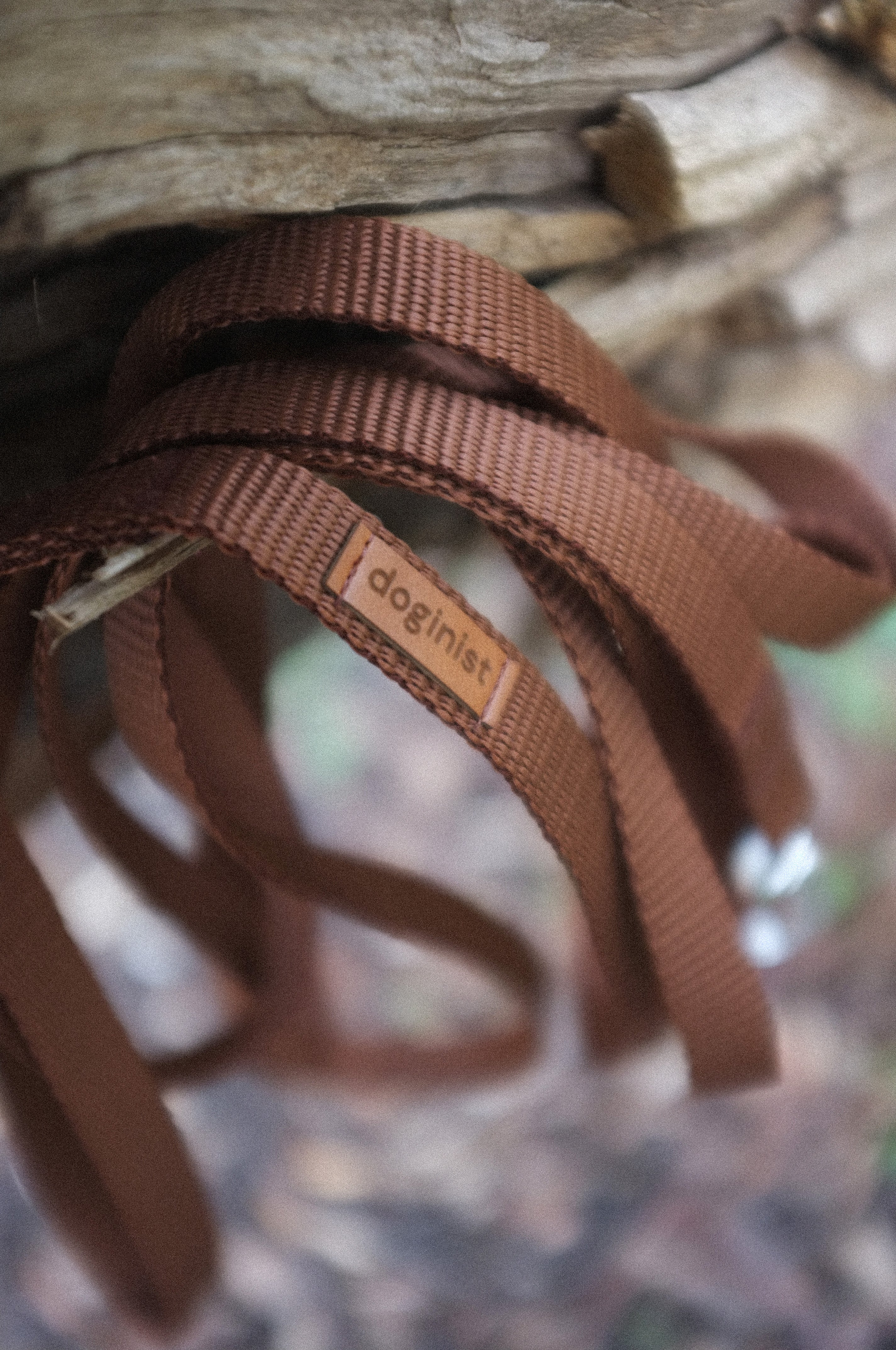 Brown Leash