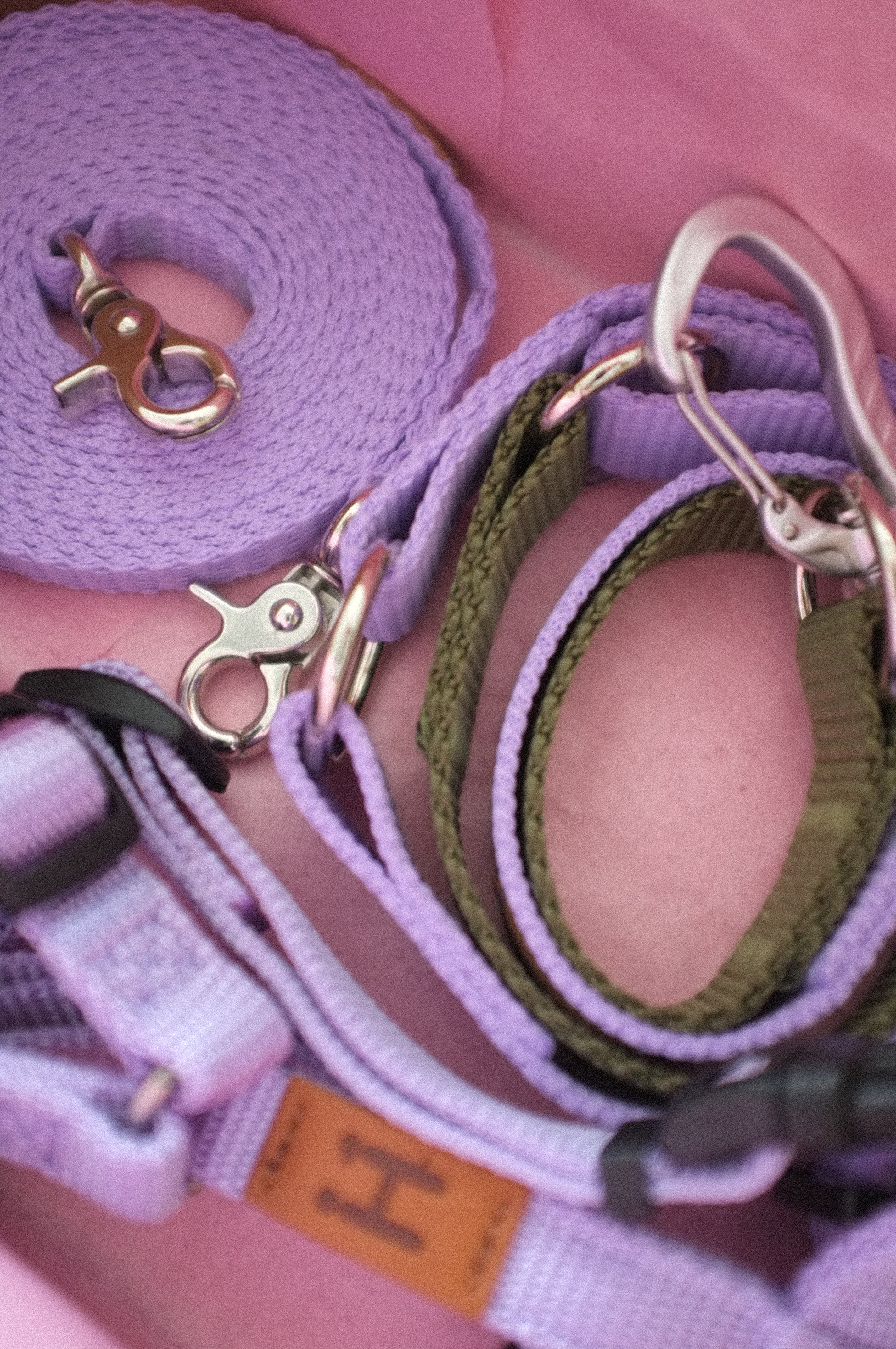 Lavender Leash
