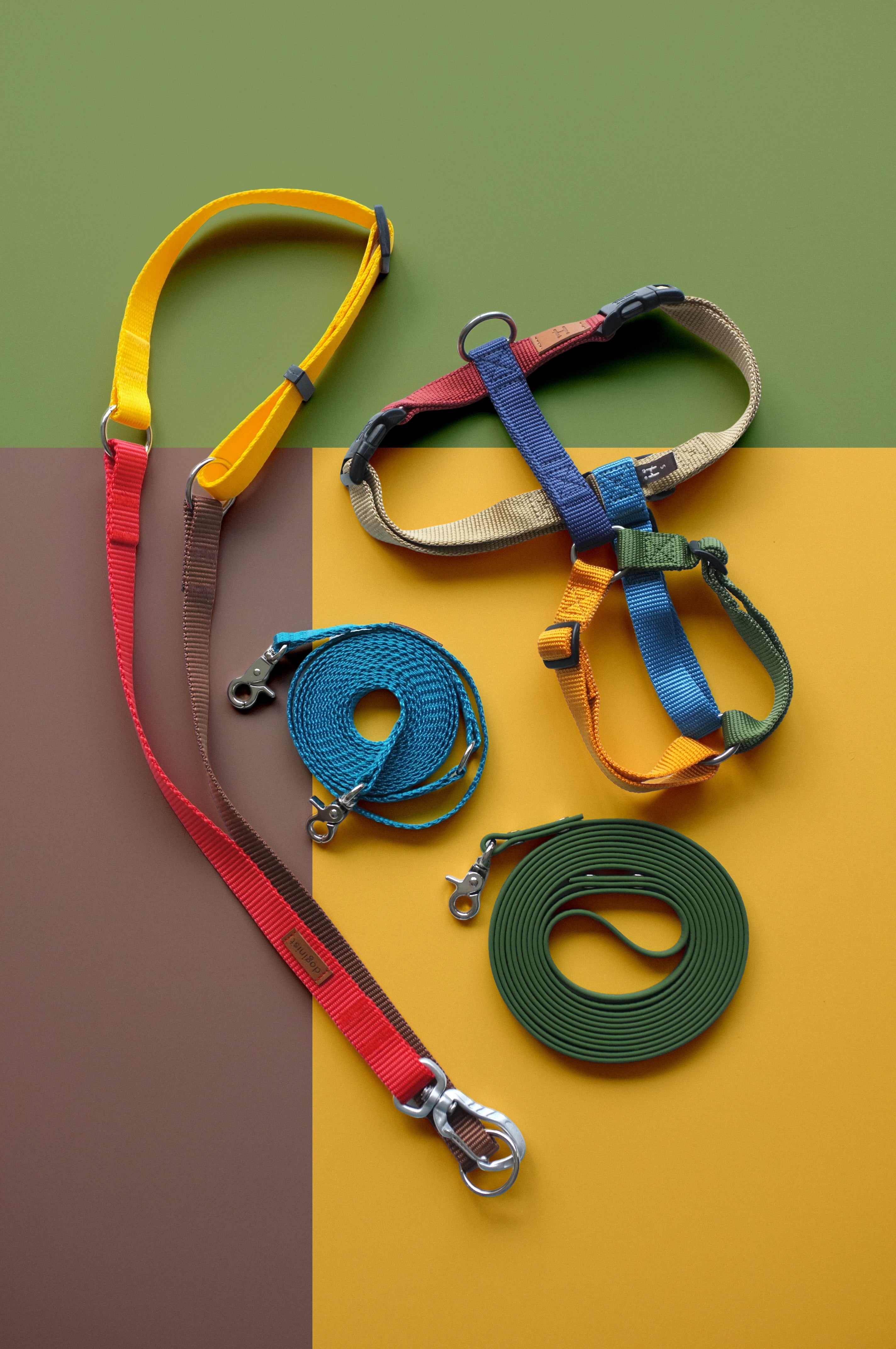 Birdwatching Walking Set