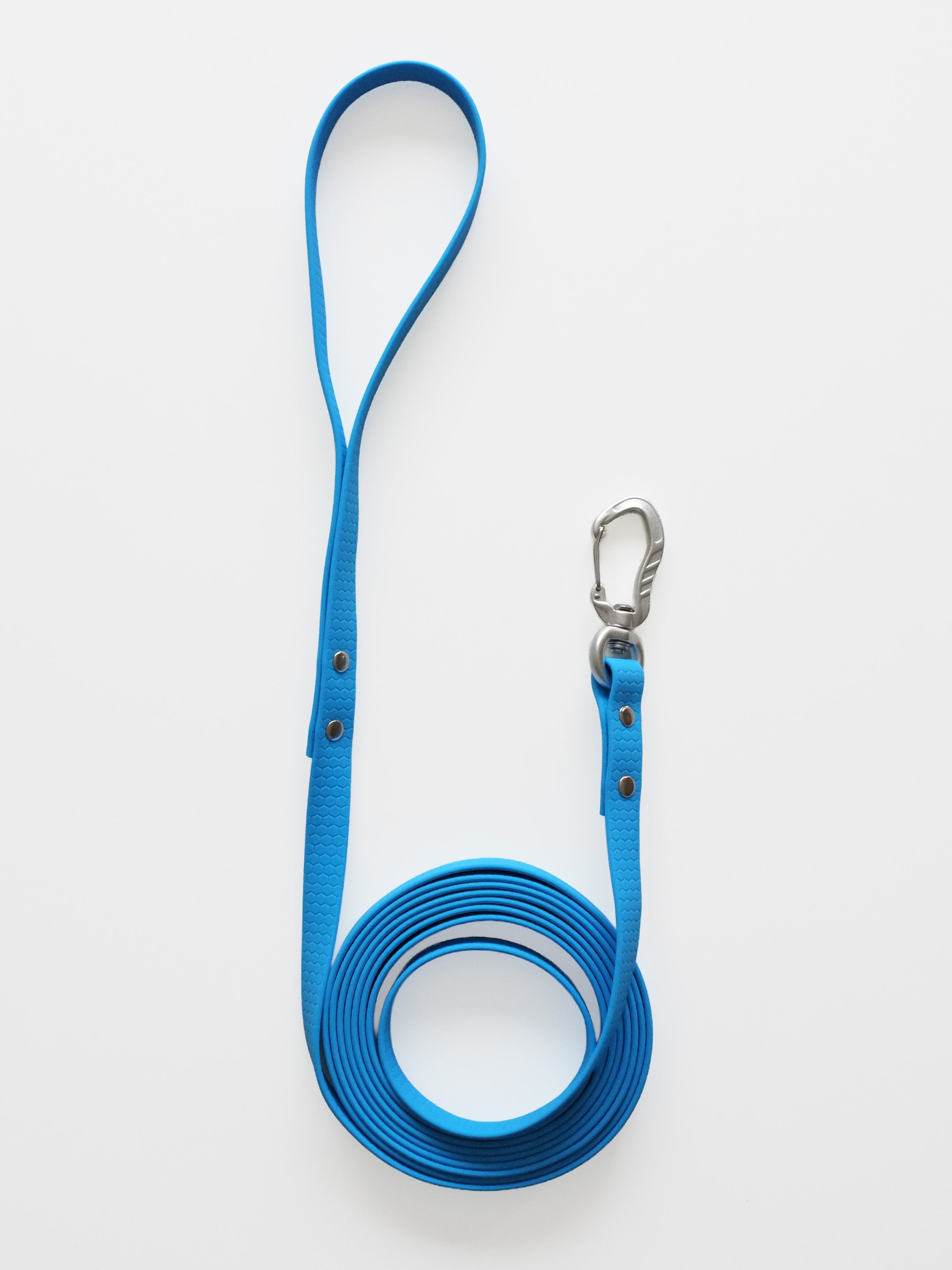Blue Waterproof Leash
