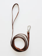 Brown Leash