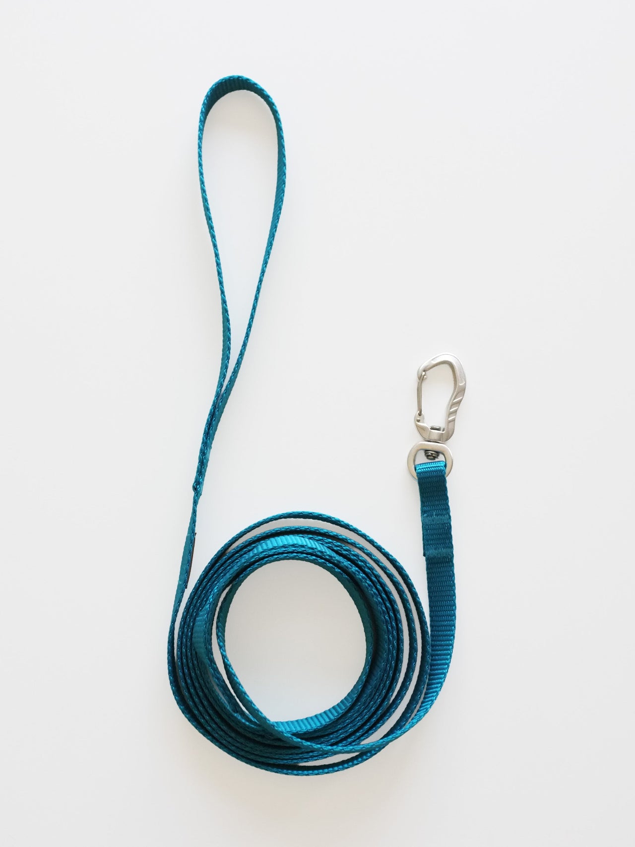 Blue Leash