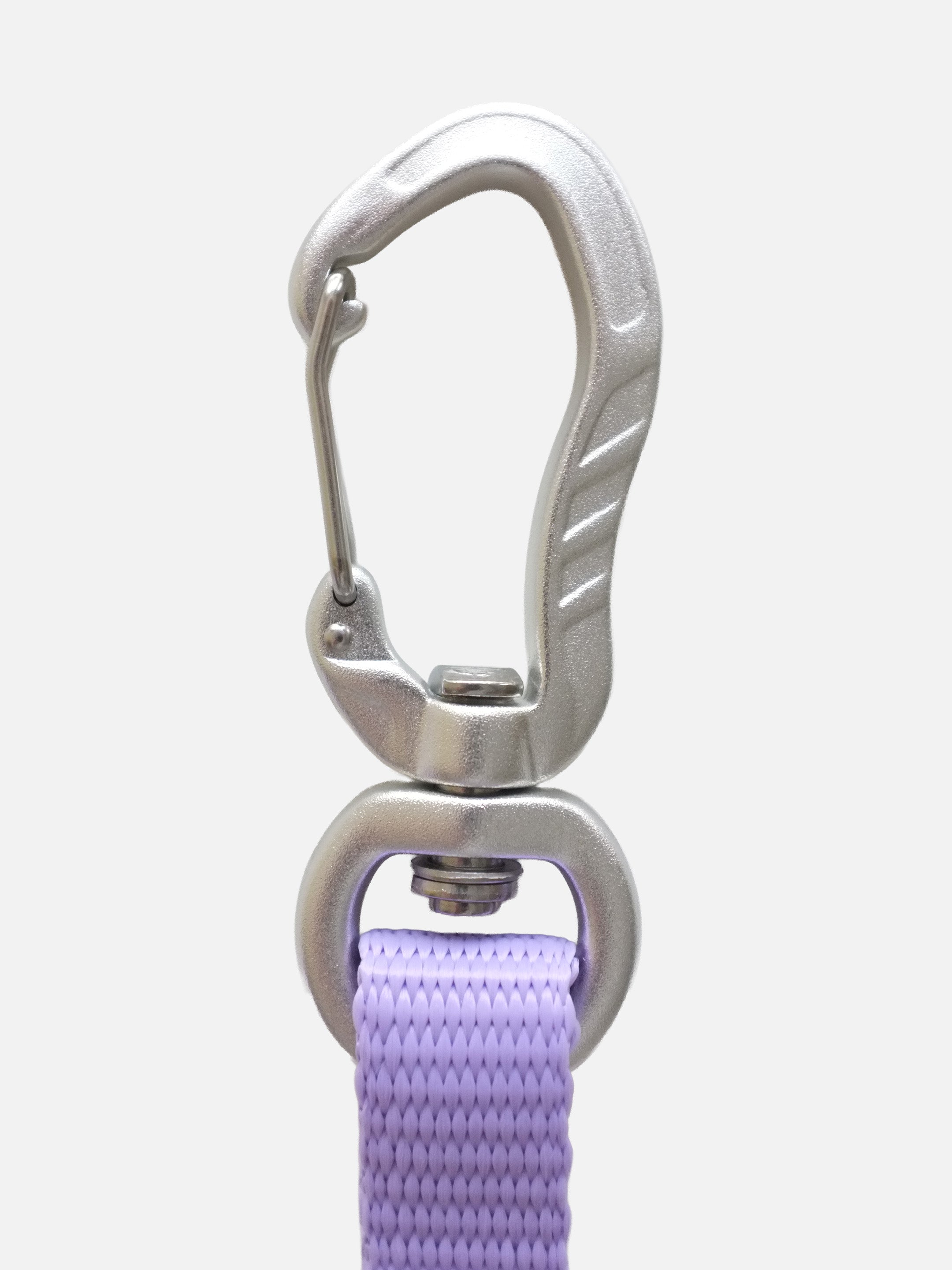Lavender Leash