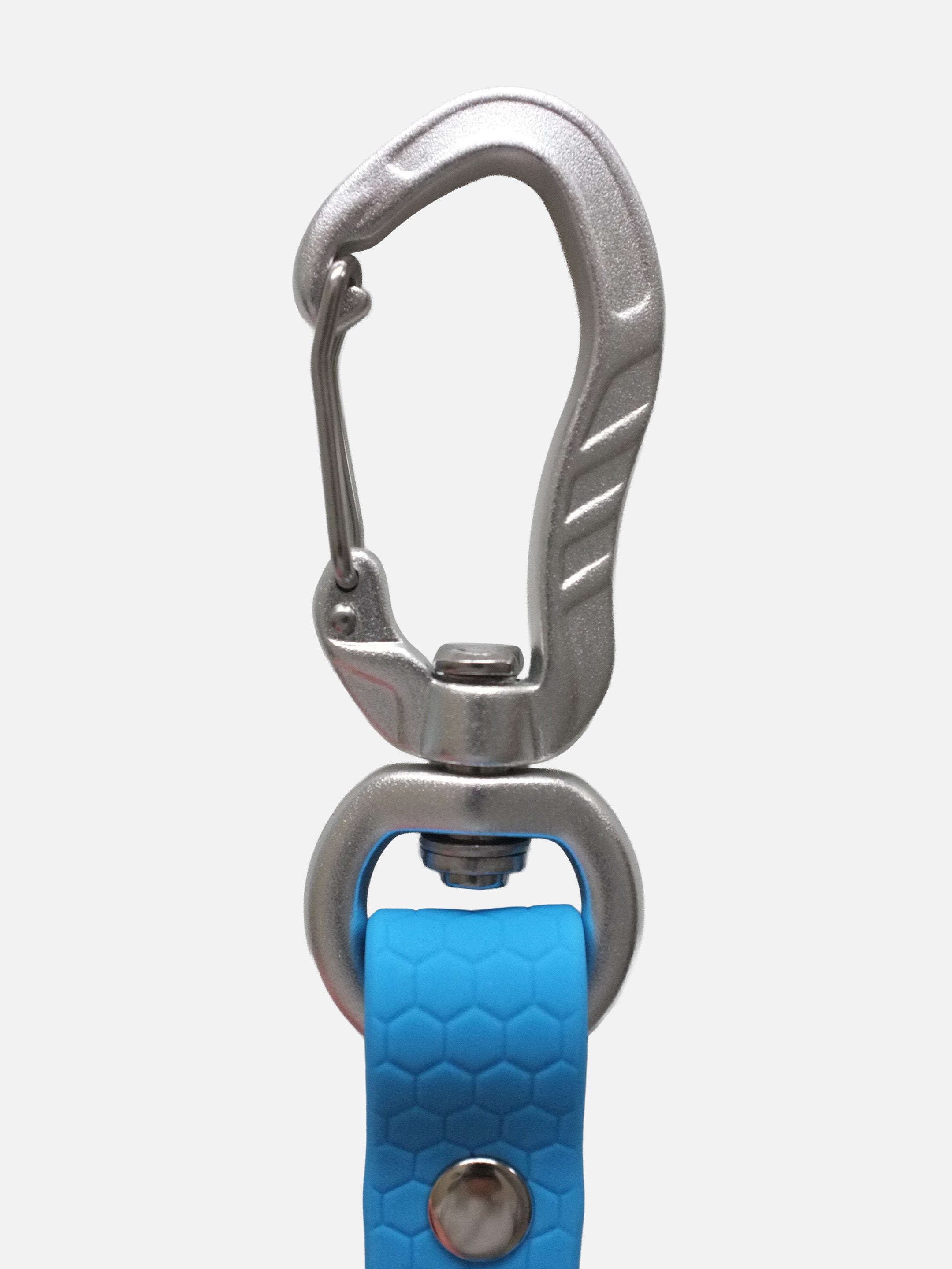 Blue Waterproof Leash