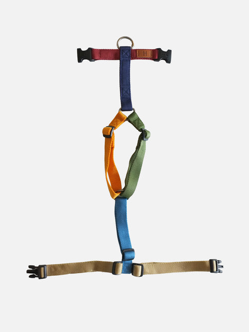 Birdwatching Harness