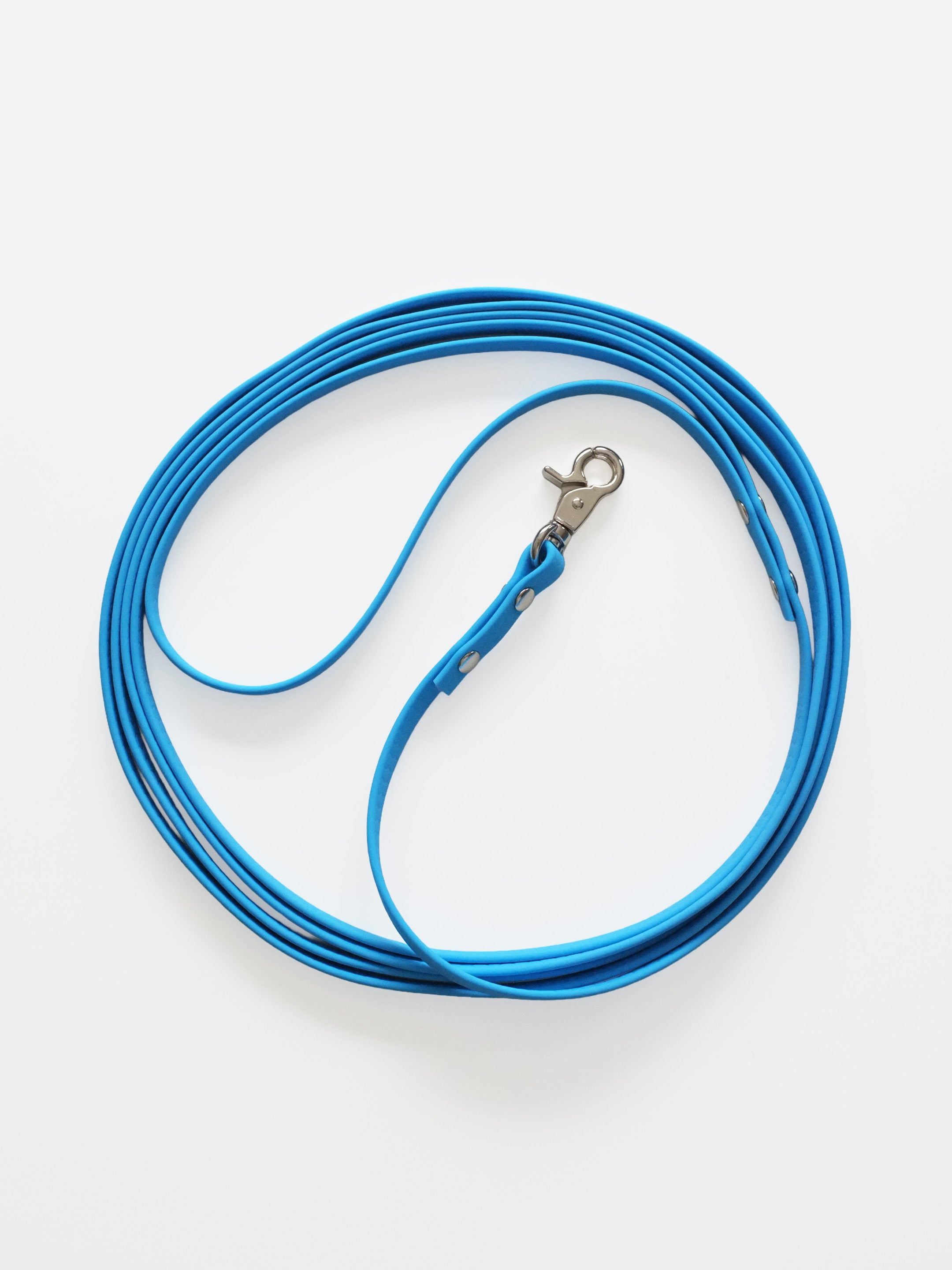 Blue Waterproof Leash