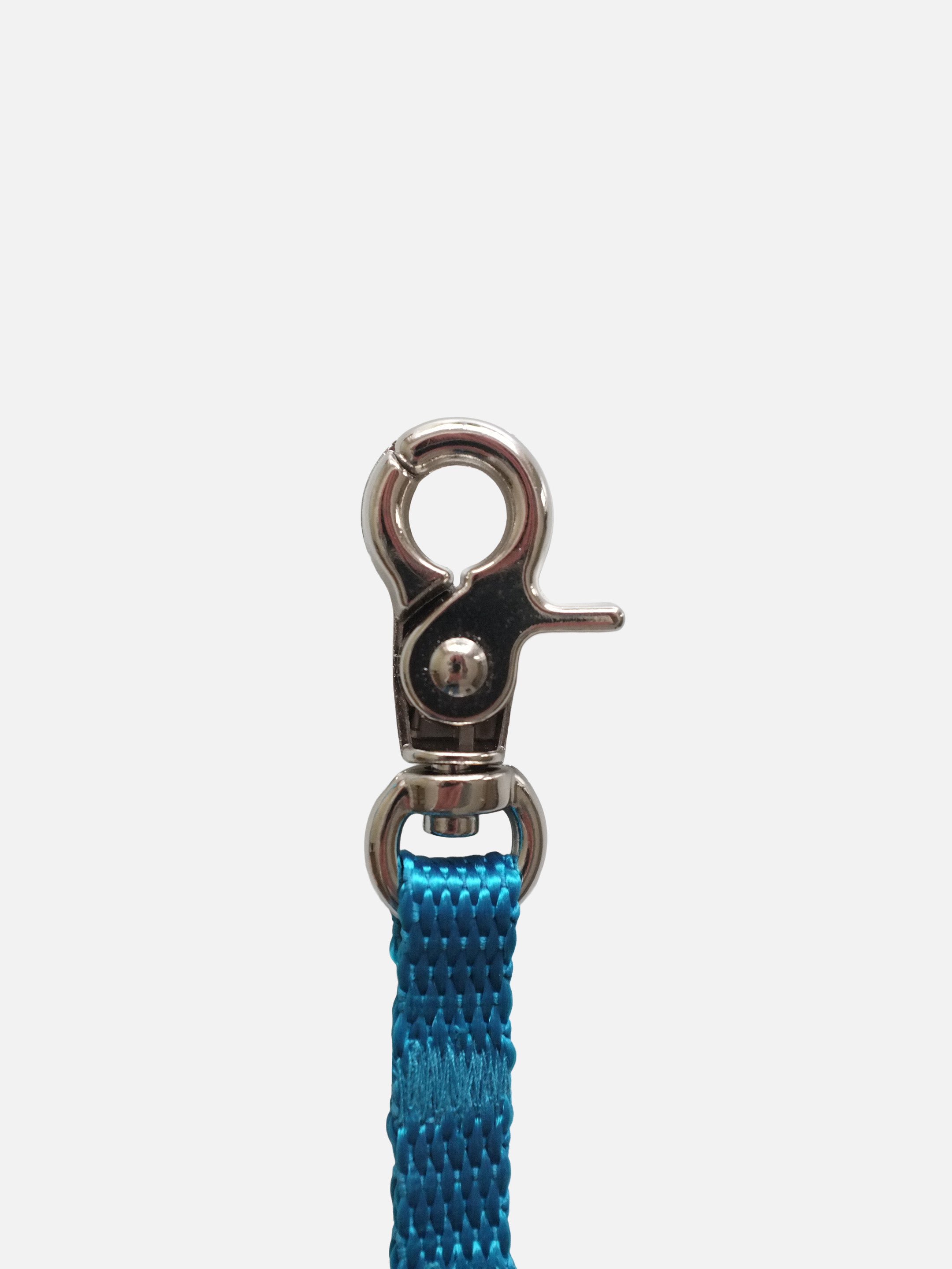 Blue Leash for Belt