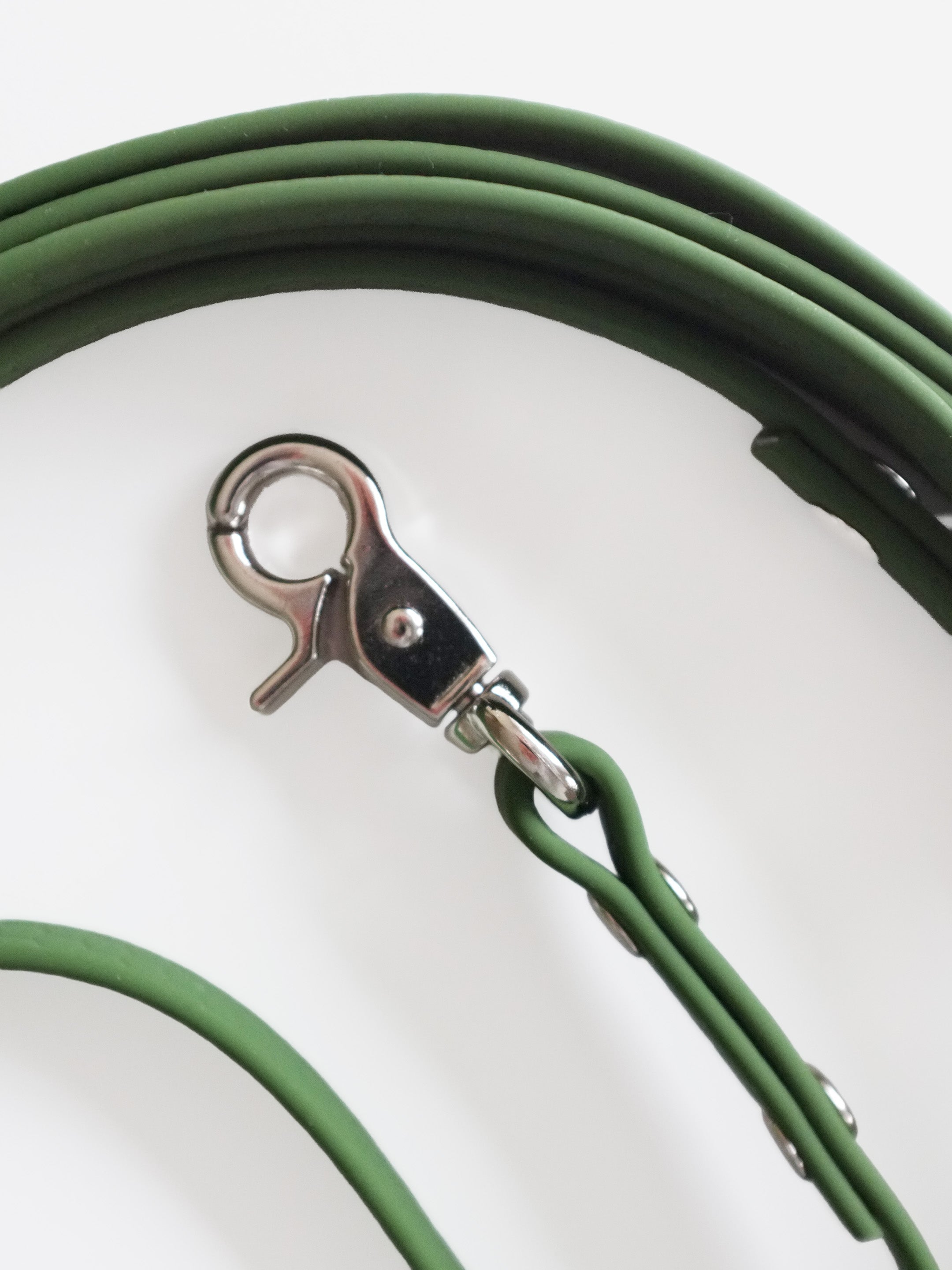 Green Waterproof Leash